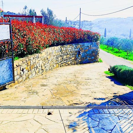 Apartment Wine & Olive Oil Mofardin Koper Dış mekan fotoğraf