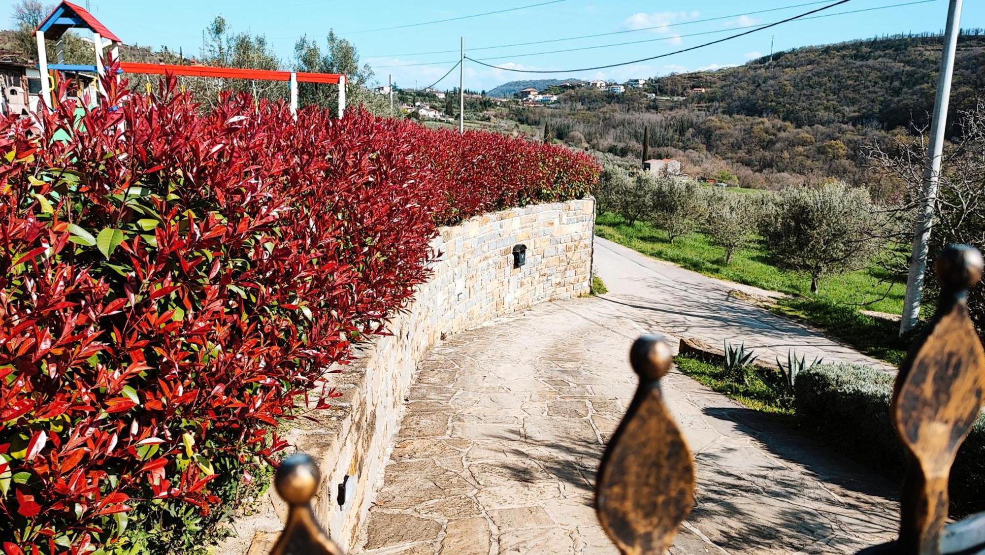 Apartment Wine & Olive Oil Mofardin Koper Dış mekan fotoğraf